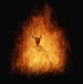 m18.gif (4326 octets)