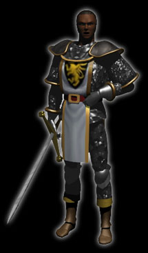 paladin1.jpg (17692 octets)